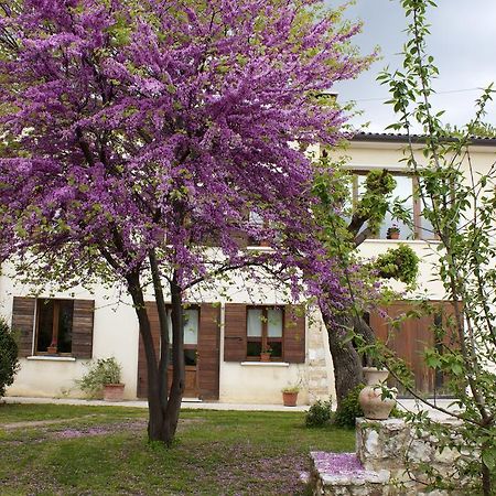 B&B Alte Paderno del Grappa Exterior photo